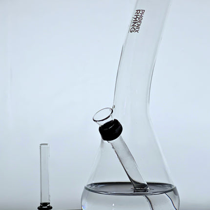 Phoenix Rising Bent Neck Bong  | 9-1/2" Tall